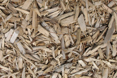 biomass boilers Spango
