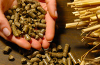 free Spango biomass boiler quotes
