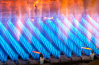 Spango gas fired boilers